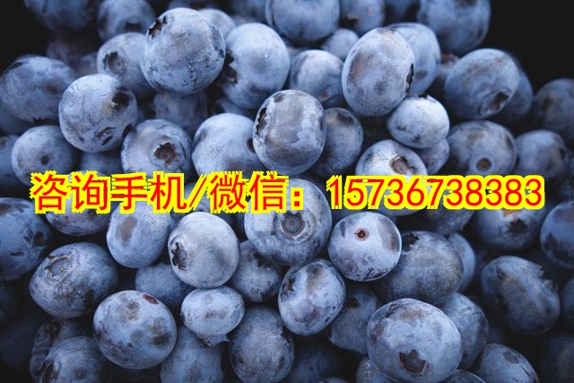 芜湖代生电气工程