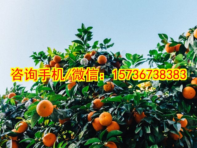 安徽芜湖机电工程有限公司发展历程